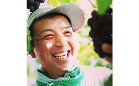 ぶどう シャインマスカット 2kg  3房～4房 1房 約500g～600g 葡萄 フルーツ 岡山 高梁市産 赤迫農園 2026年 先行予約