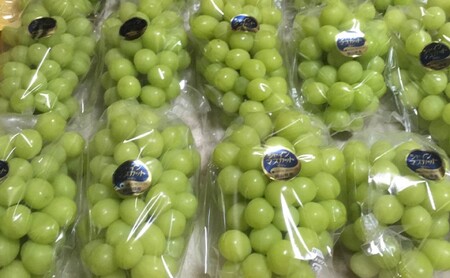 シャインマスカット 2kg 3房～5房 葡萄 フルーツ 岡山 高梁市産 ぜきお農園 ぶどうclub 2026年 先行予約