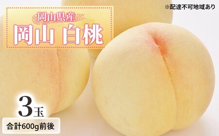 桃 【2026年 先行予約】 白桃 3玉入り 合計600g前後 もも 岡山県産