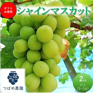 2026年 早期受付 ぶどう ギフトお徳用 シャインマスカット 2kg以上(3～5房) 数量限定 岡山県 高梁市産