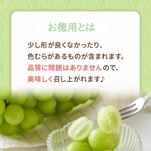 2026年 早期受付 ぶどう ギフトお徳用 シャインマスカット 2kg以上(3～5房) 数量限定 岡山県 高梁市産
