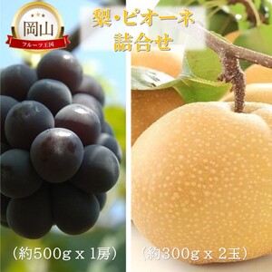 2026年 早期受付 岡山県産 岡山の梨(約300g×2玉)・ピオーネ(約500g×1房) 詰合せ 梨 ピオーネ ぶどう ブドウ 葡萄 果物 フルーツ