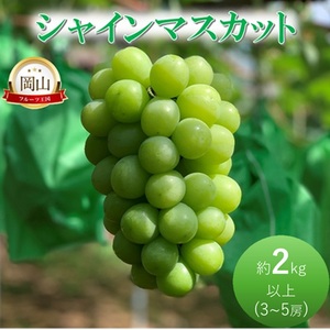 2026年 早期受付 ぶどう シャインマスカット約2kg（3～5房） 岡山県高梁市産 岩原農園 葡萄 ブドウ