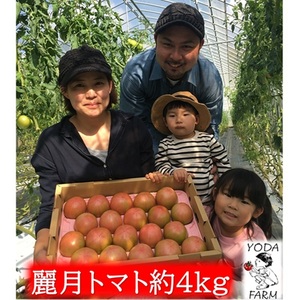 2026年 早期受付 麗月トマト 約4kg 野菜 トマト とまと 岡山県 高梁市産 産地直送