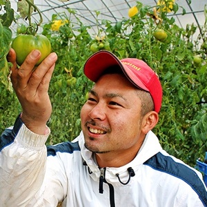 2026年 早期受付 麗月トマト 約4kg 野菜 トマト とまと 岡山県 高梁市産 産地直送