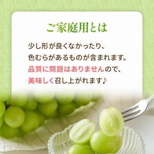 2026年 早期受付 ぶどう 訳あり シャインマスカット 2kg以上(3～5房) 数量限定 岡山県 高梁市産