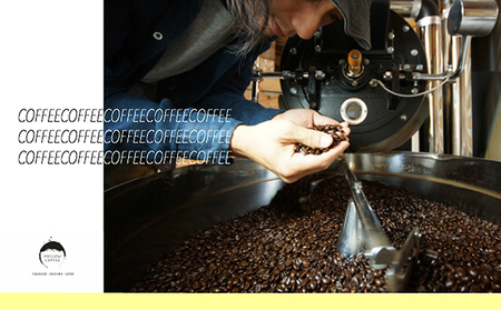 【メール便】 4種スペシャルティコーヒー各50g【珈琲ドリップのレシピ付き】 飲料類 ドリンク 飲み物 コーヒー豆 フルーツ感 ビター 飲み比べ 新豆 コーヒー飲み比べ 細挽き(サイフォン・イブリック)