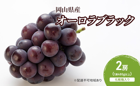 ぶどう 2026年 先行予約 オーロラブラック 2房(1房480g以上)　化粧箱入り ブドウ 葡萄 岡山県産 国産 フルーツ 果物 ギフト
