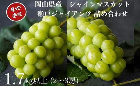 厳選 シャインマスカット・瀬戸ジャイアンツ 2～3房 合計1.7kg以上 詰合せ 産地直送 朝採れ ぶどう 葡萄 Kawahara green Farm 岡山県産2026年 果物 フルーツ 岡山のブドウ デザート 食べ物 国産 日本産 6,750円