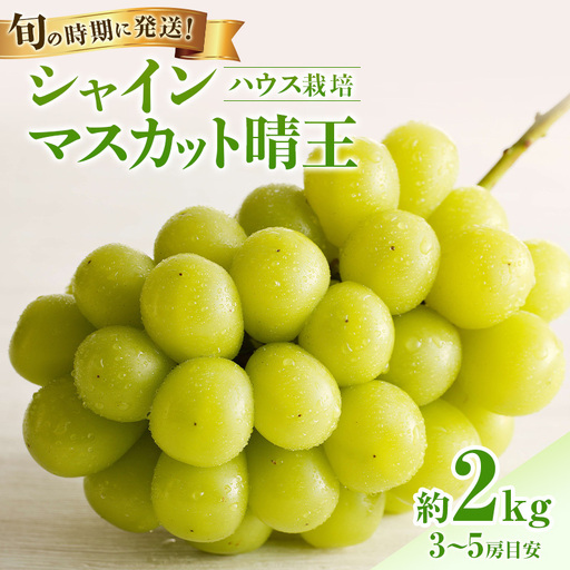 【2026年先行受付】 シャインマスカット 晴王 ハウス栽培 約2kg(3～5房目安) 岡山県産 ぶどう 葡萄 ブドウ 御中元 ギフト 御礼 プレゼント 御礼 御祝 御供 果物 くだもの フルーツ