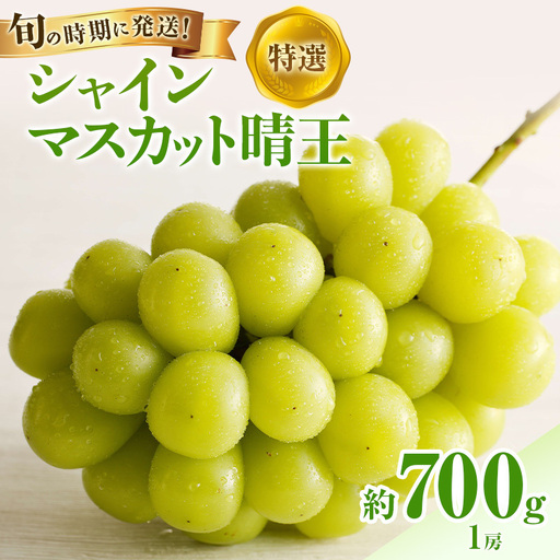 【2026年先行受付】 シャインマスカット 晴王 特選 大房 約700g 1房  化粧箱入 岡山県産 ぶどう 葡萄 ブドウ ギフト 御礼 プレゼント 御礼 御祝 御供 果物 くだもの フルーツ