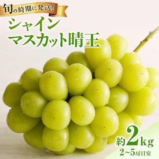 【2026年先行受付】 シャインマスカット 晴王 秀品 大房 約2kg(2~5房) 岡山県産 ぶどう 葡萄 ブドウ ギフト 御礼 プレゼント 御礼 御祝 御供 果物 くだもの フルーツ