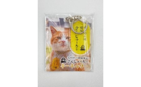 『さんじゅーろー』キーホルダー小判 3個セット 雑貨 小物 使いやすいサイズ カバン バッグ 鍵 