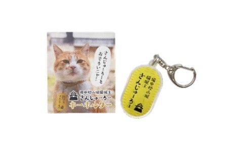 猫城主 さんじゅーろーグッズセット ドリップコーヒー 雑貨 猫グッズ オリジナルシール ポストカード キーホルダー 猫のパッケージ ブレンド モカ 