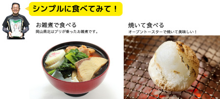 白餅 32枚 (8枚入×4パック)ヒメノモチ100%使用