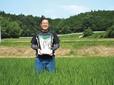 白餅 32枚 (8枚入×4パック)ヒメノモチ100%使用