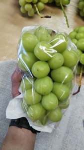 米谷ブドウ農園 シャインマスカット 約2kg 3~4房 【先行予約 10月から順次発送】
