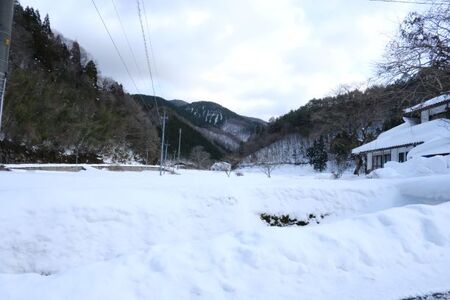 新見市千屋産 熟成黒にんにく 2パック