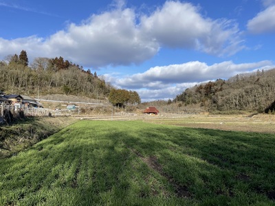 【2025年8月から発送】キラリもち麦 約2kg (約1kg×2袋)