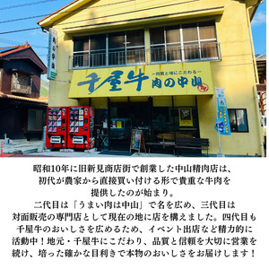 中山精肉店 千屋牛 A4 A5 特選 ステーキ用 サーロイン 400g 200g×2枚