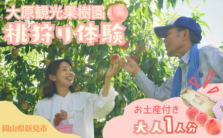 大原観光果樹園 桃狩り体験チケット1人（桃お土産付き）