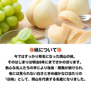 詰合せ 白桃 晩生種 2玉 ニューピオーネ 1房 合計約1.0kg 岡山県産 【先行予約 2026年8月下旬から順次発送】