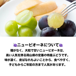 詰合せ 白桃 晩生種 2玉 ニューピオーネ 1房 合計約1.0kg 岡山県産 【先行予約 2026年8月下旬から順次発送】