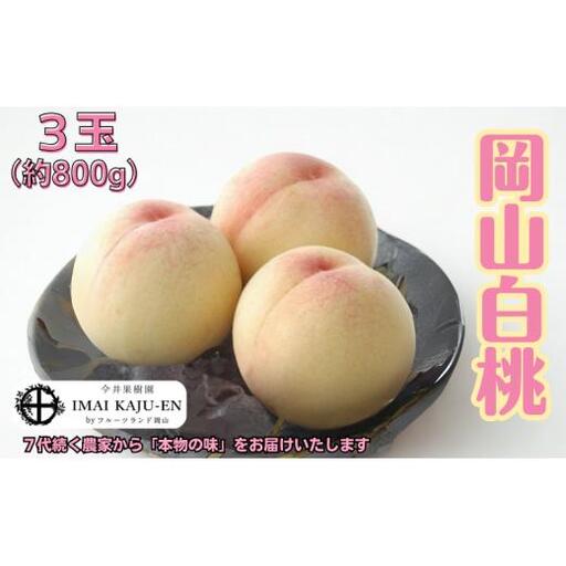 白桃 3玉 約800g 岡山県産 【先行予約 2026年7月上旬から順次発送】