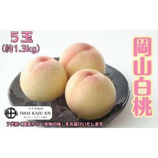 白桃 5玉 約1.3kg 岡山県産 【先行予約 2026年7月上旬から順次発送】