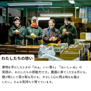 ヤーリー (鴨梨)  2kg 贈答箱 赤秀 3～6玉【先行予約 2026年11月中旬から順次発送】