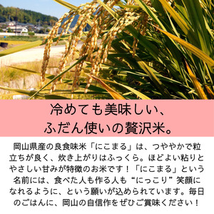 【令和7年産】岡山県産米 にこまる 10kg 5kg×2袋 【先行予約 2025年11月上旬から順次発送】