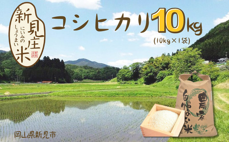 【令和7年産】新見庄米 コシヒカリ 白米 10kg （10kg×1袋）