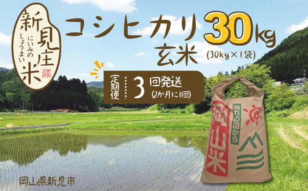 【令和7年産】新見庄米 コシヒカリ 玄米 30kg （30kg×1袋）定期便3回 2か月に1回