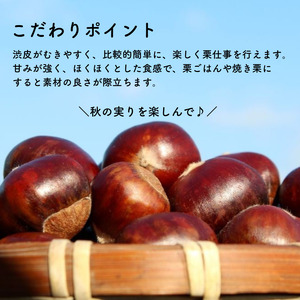 哲西栗（生栗）2kg 【先行予約 2026年10月から順次発送】