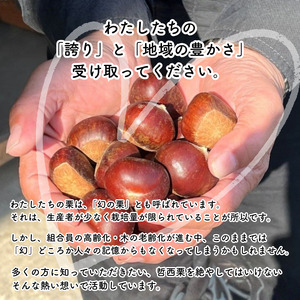 哲西栗（生栗）2kg 【先行予約 2026年10月から順次発送】