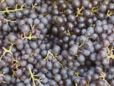 岡山ワインバレー 赤ワイン・白ワイン・スパークリング 3本セット 各750ml