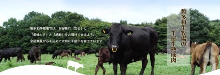 千屋牛 サイコロ・モモステーキセット(合計約600g) 牧場直送便 A5ランク