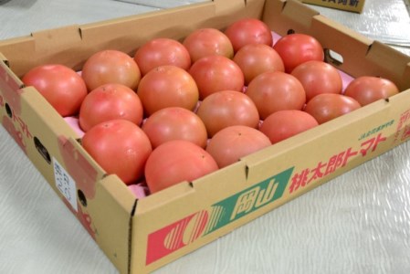 阿新産桃太郎トマト 1箱 約4kg 16～20玉 【7～9月限定】