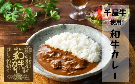 千屋牛や地元食材を使ったレトルト 牛丼 カレー シチュー 各5食 4種20食