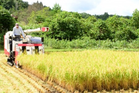 令和7年産 里山新見のめぐみ コシヒカリ 5kg