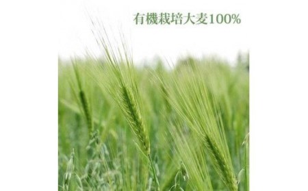 オーガニックむぎ茶 (10g×20p) ×20袋 有機栽培大麦100％使用