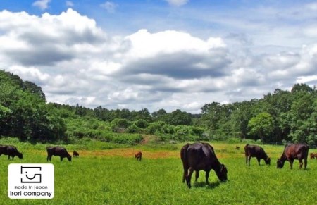 国産 黒毛和牛 いろり牛 経産牛 牛肉ステーキセット (ヒレ約300g＋モモ約300g)
