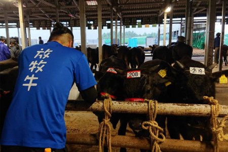 国産 黒毛和牛 いろり牛 経産牛 牛肉ステーキセット (ヒレ約300g＋モモ約300g)