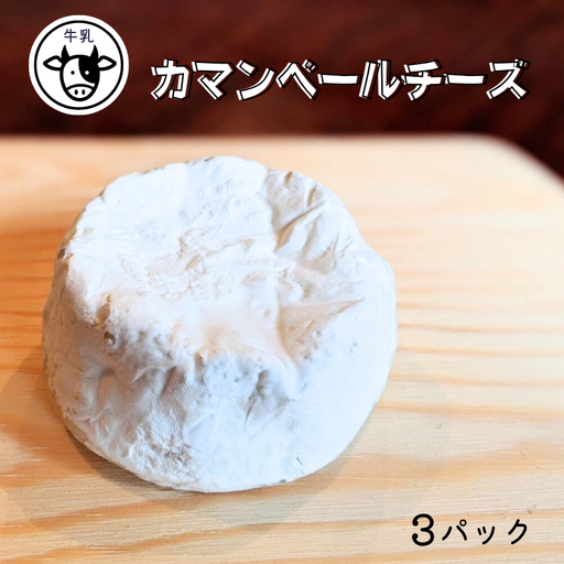 【11月～3月限定・牛乳使用】カマンベールチーズ 約100g×3パック