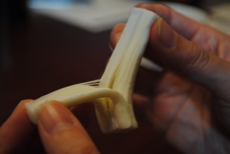 【11月~3月限定・牛乳】平飼い烏骨鶏卵6個 モッツァレラチーズ100g×2 ストリングチーズ50g×2