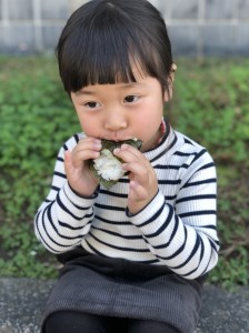 令和7年産 里山新見のめぐみ あきたこまち15kg(5kg×3袋)
