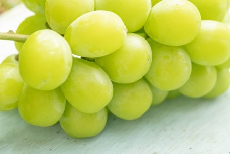 大原観光果樹園 シャインマスカット 約1.2kg 2房 【先行予約 9月中旬から順次発送】