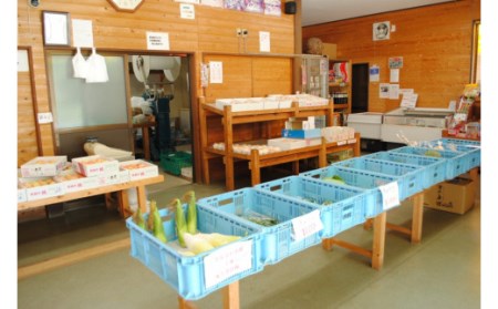 大原観光果樹園 シャインマスカット 約1.2kg 2房 【先行予約 9月中旬から順次発送】