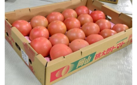 【定期便】阿新産桃太郎トマト 1箱 約4kg 16～20玉 3か月連続お届け 【7～9月限定】