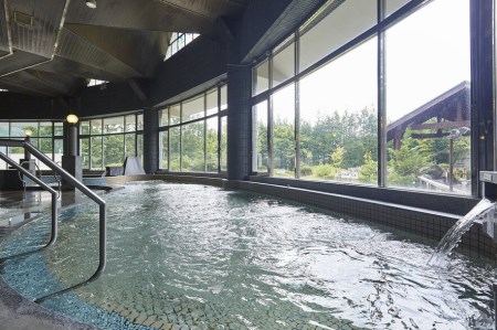 新見千屋温泉いぶきの里 入浴券(11枚回数券セット)